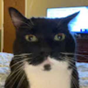 Meet your Posher, Ella